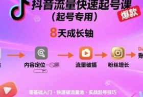 抖音流量快速起号课（起号专用），8天带你做爆自己的账号