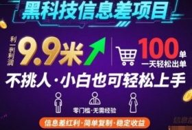黑科技信息差项目，一单利润9.9米，一天简简单单出100单，不挑人，小白也可轻松上手【揭秘】