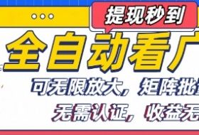 全自动看广告项目，可无限放大，可矩阵批量操作