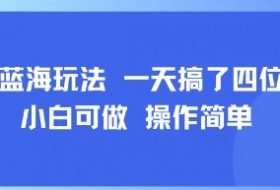 小众蓝海玩法 一天搞了四位数 小白可做 操作简单