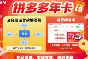 拼多多年卡【8月更新6节】拼多多全链路运营底层逻辑，超级爆单术