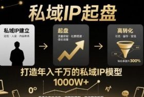 私域IP起盘，私域ip建立、起盘、高转化，打造年入千万的私域ip模型