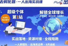 出海去孵化器，一人出海实战课，​超级个体第1站，解锁全球增长