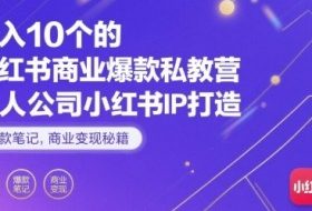 月入10个的小红书商业爆款私教营，一人公司小红书IP打造，爆款笔记，商业变现秘籍