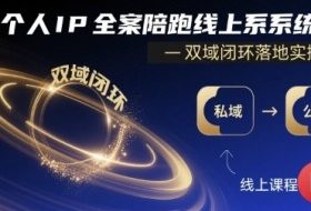 个人IP全案陪跑线上系统课-双域闭环落地实操课