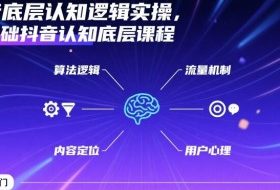 抖音底层认知逻辑实操，零基础抖音认知底层课程