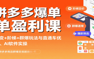 拼多多爆单盈利课：裂变+阶梯+群爆玩法与直通车优化、AI 软件实操