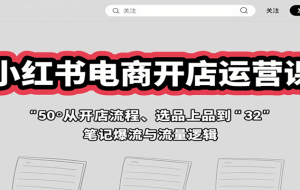 小红书电商开店运营课：从开店流程、选品上品到笔记爆流与流量逻辑