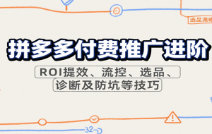 拼多多付费推广进阶，ROI提效、流控、选品、诊断及防坑等技巧