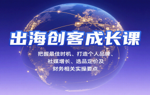 出海创客成长课，把握最佳时机、打造个人品牌、社媒增长、选品定价及财务相关实操要点