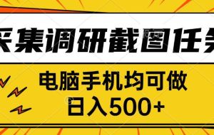 （15868期）采集，调研，截图任务，电脑手机均可做，日入500+