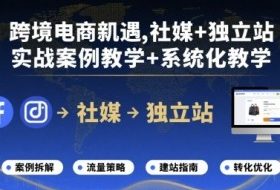 跨境电商新机遇，社媒+独立站，实战案例教学+系统化教学