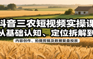 抖音三农短视频实操课：从基础认知、定位拆解到内容创作、拍摄剪辑及数据复盘投放