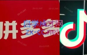 老陶电商·拼多多+抖音小店无货源开店（更新8月）
