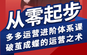 海神·拼多多运营进阶系统课（更新8月）