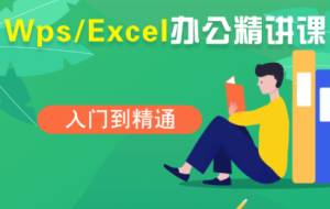 夏老师·WPS Excel办公（精讲课）