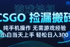 8月最新游戏搬砖，CSGO纯挂G，不需要玩游戏，实现真挂G，月入1W+【揭秘】