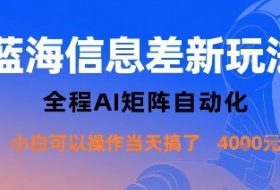 蓝海信息差新玩法，全程AI矩阵自动化小白可以操作当天搞了1k+