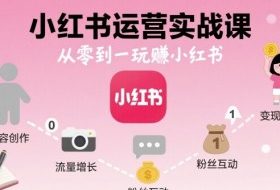 小红书运营实战课，从零到一玩賺小红书