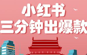 小红书操作非常简单的玩法，零基础小白，也能3分钟生成一条爆款笔记，月赚3000+