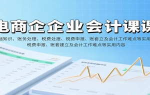 电商企业会计课：基础知识、账务处理、税费申报、账套建立及会计工作难点等实用内容