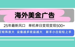 （15902期）最新海外广告美金，全自动挂机，单机单日500+，可矩阵放大，新手小白轻…