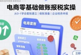 电商零基础做账报税实操快速上手，从0-1学会套账建立，做账准备，企业税务申报