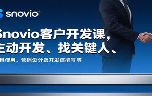 Snovio客户开发课，主动开发、找关键人、工具使用、营销设计及开发信撰写等