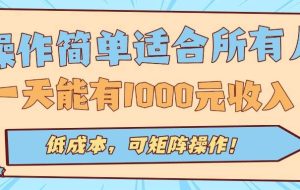 （15910期）操作简单适合所有人全自动挂机项目，一天能有1000元收入，低成本，可矩…