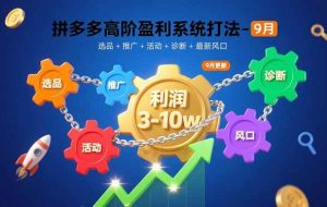 (15916期)拼多多高阶盈利系统打法-9月:选品+推广+活动+诊断+最新风口,月利润3-10w