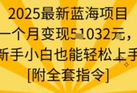 2025最新蓝海项目一个月变现1w+新手小白也能轻松上手【附全套指令】