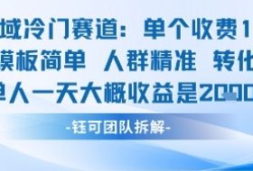 私域冷门赛道单个收费198米引流模板简单人群精准 45%的转化率单人一天大概收益多张