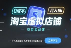 淘宝虚拟店铺项目实战课，一个人也能做，无需货源、0成本起步，月入5k