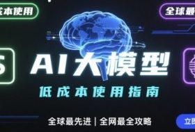 如何低成本使用全球最先进AI大模型，全网最全指南