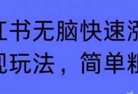 小红书无脑快速涨粉变现玩法，简单粗暴