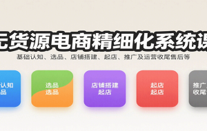 无货源电商精细化系统课：基础认知、选品、店铺搭建、起店、推广及运营收尾售后等