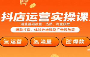 抖店运营实操课：涵盖基础设置、选品、流量获取、爆款打造、体验分维稳及广告投放等