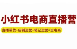 申铭老师·小红书电商直播营（更新）