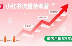 （15936期）小红书流量特训营：突破流量瓶颈，实现店铺持续增长，单店月销5万实战