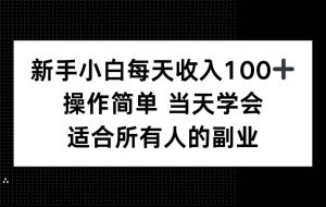 （15937期）新手小白每天收入100+，操作简单 当天学会 ，适合所有人的副业