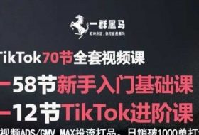 TikTok全套视频课，新手入门+进阶课，短视频ADS-GMV MAX投流打品，日销破1000单打法
