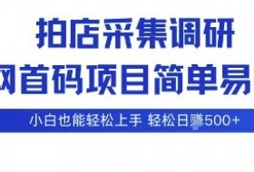 拍店采集调研，全网首码项目，简单易操作， 小白也能轻松上手，多账号操作，轻松日入5张【揭秘】