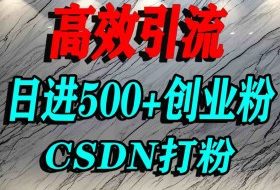 怎么打创业粉？CSDN又一个你不知道的打粉引流神秘平台，单人日引500+精准流量