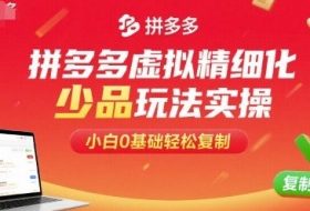 拼多多虚拟精细化少品玩法实操，小白0基础轻松复制