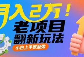 月入2W！老项目翻新玩法，小白上手就能做，非常容易上手
