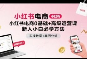 小红书电商0基础+高级运营课，新人小白必学方法，实操教学+案例分析