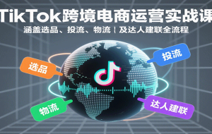 视频号直播秘籍，破解流量成交难题，主播必备能力，规避误区，从新手到达人轻松变现