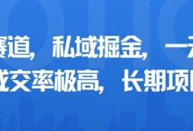 小众赛道，私域掘金，一天多张，成交率极高，长期项目