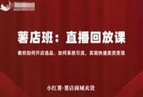 小红薯薯店商城卖货直播回放课，教你如何开店选品、如何系统引流，实现快速卖货变现