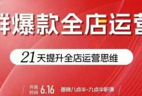 贾真电商群爆款全店运营，21天提升全店运营思维，起店、全店运营爆款不断
